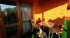 Гостиница Guest House Zolotistyy Анапа-7